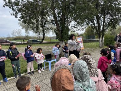 БДП 6